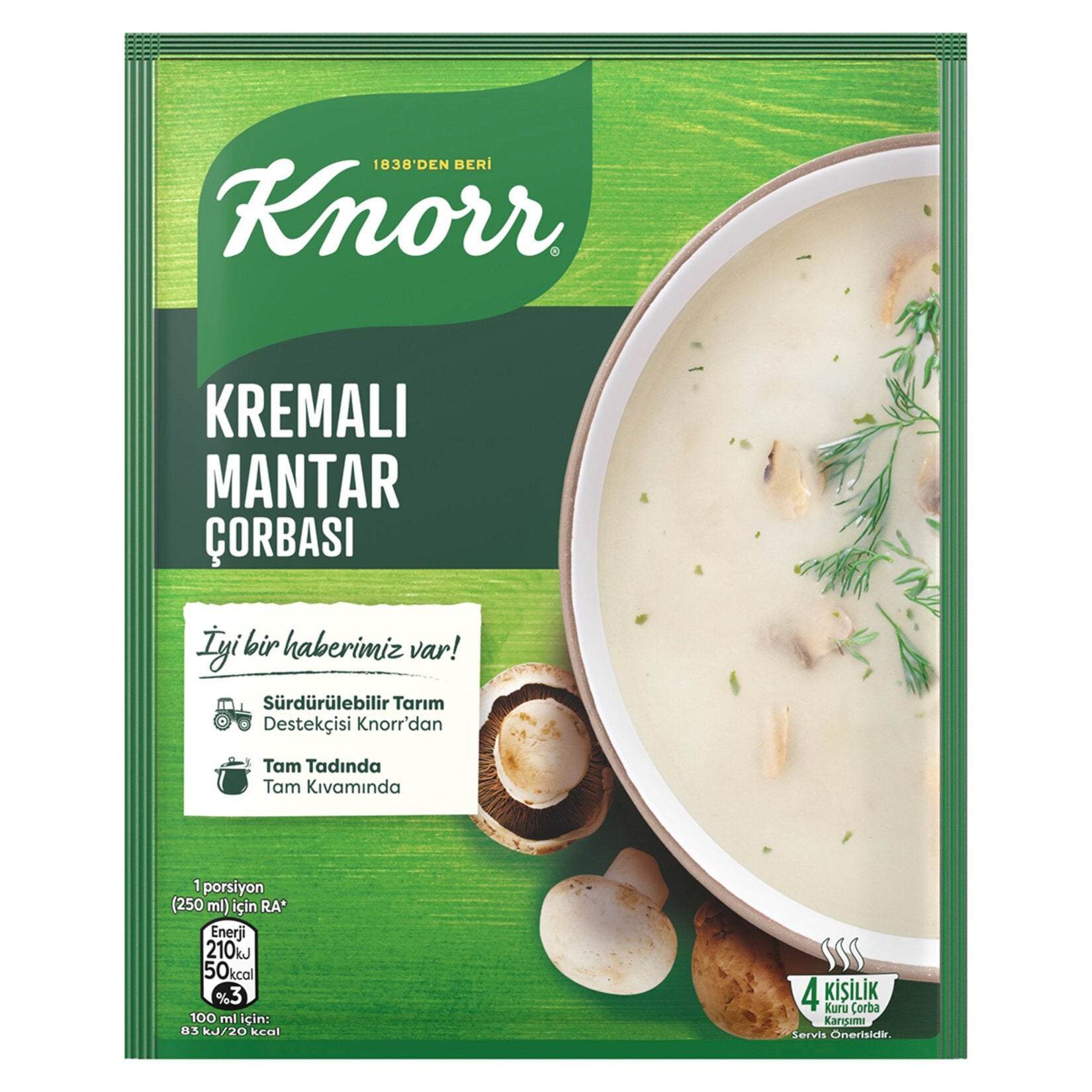 Knorr Creamy Mushroom Soup 63g